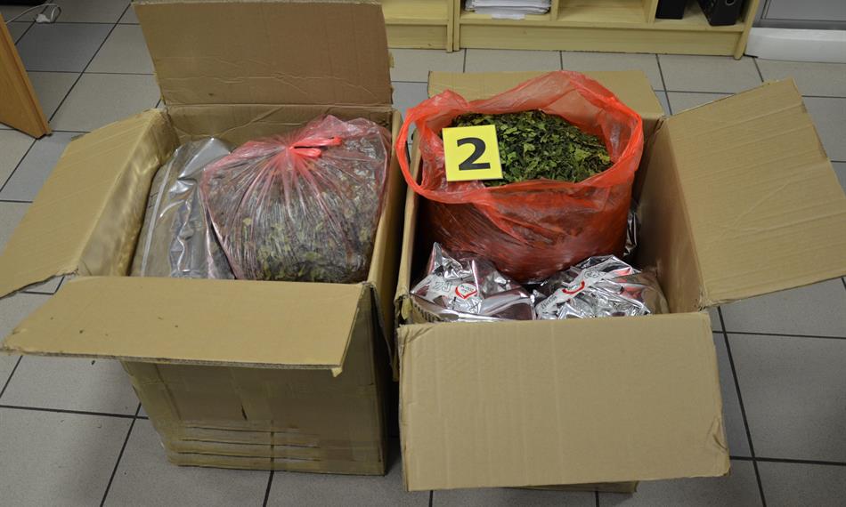 2019-1-3-83foto 3.jpg